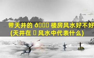带天井的 🍁 楼房风水好不好(天井在 ☘ 风水中代表什么)